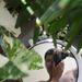 Profile Picture of Carlos Fernando Monteiro (@carlosfmonteiro) on Pinterest