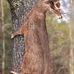 Profile Picture of Dave Traylor (@dave.traylor.92) on Facebook