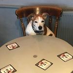 Matthew Bracey - Instagram Profile Picture of Matthew Bracey (@matthew.bracey.33) on Instagram