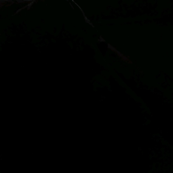 Profile Picture of Matthew Longoria (@matt_longoria) on Poshmark