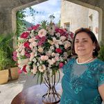 Profile Picture of M Helena Andrade (@mhslandrade) on Instagram