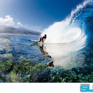 Profile Picture of Jared Hummel (@surfers99999) on Twitter