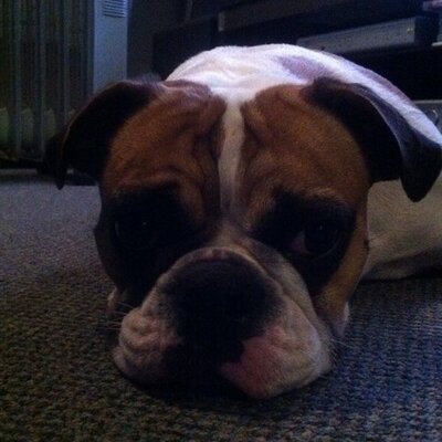 Profile Picture of Michael Mccullagh (@mickmc2204) on Twitter