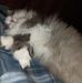 Profile Picture of Veronica Wojcik (@veronica.wojcik.773) on Facebook