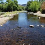 Profile Picture of Jimmy A. Mendivil (@jaimea.mendivil) on Instagram