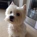 Profile Picture of Clare Forsyth (@clare.forsyth.54) on Facebook