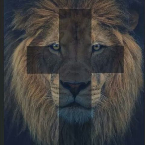 Profile Picture of Kenneth Ross (@kennethross447) on Poshmark