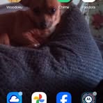 Profile Picture of Susie Coleman (@susie.coleman.1048) on Facebook