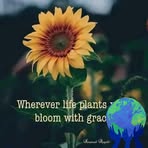 Profile Picture of Catherine Caspher (@kama.cediiments) on Facebook