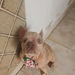 Profile Picture of Jacob Andres (@Jacob-Andres) on Facebook