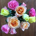 Profile Picture of Nancy Hatch (@nancy.hatch.520) on Instagram