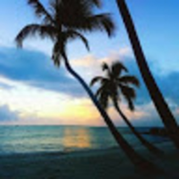 Profile Picture of Bibi Rodriguez (@bibirodriguez68) on Poshmark