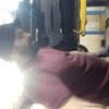 Profile Picture of e.b. roy (@@everettroy) on Tiktok