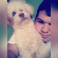 Profile Picture of Hector Flecha (@97Flecha) on Twitter