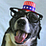 Profile Picture of Jimmy Jump (@jimmy jump) on Flickr