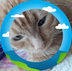 Profile Picture of Rhonda Clift (@rhonda.clift.2025) on Facebook