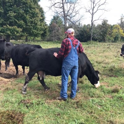 Profile Picture of Mitchell Alford (@AlfordMitchell) on Twitter