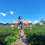 Profile Picture of Bailey Nguyen (@baileynguyensg) on Instagram