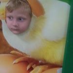 Profile Picture of Bob Lien (@boblien3) on Instagram