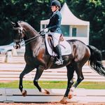 Profile Picture of Casey • Dressage (@casey.dressage) on Instagram