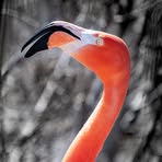 Profile Picture of Ruth Hartman (@Ruth-Hartman) on Facebook