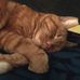 Profile Picture of Kim Glaser (@kim.glaser.10) on Facebook