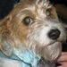 Profile Picture of Beverly Keener (@taxytoo) on Pinterest