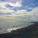 Profile Picture of Lora Pond (@ttlp21) on Instagram