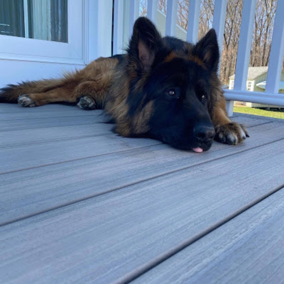 Profile Picture of Natalia Milewski (@nataliamilewski) on Poshmark