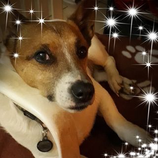 Profile Picture of Jo Benjamin (@jo.benjamin.37) on Facebook