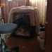 Profile Picture of Julian Davis (@julian.davis.39589) on Facebook