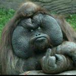 Profile Picture of Andrew Hussein(Telet H)® (@iamth__ah) on Instagram