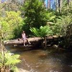 Profile Picture of Josh Reeves (@josh4111996) on Instagram
