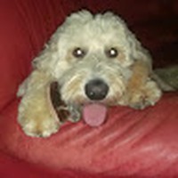 Profile Picture of Karen Knepp (@karen-knepp-6) on Quora