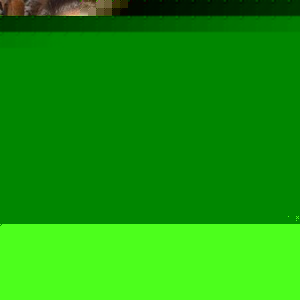 Profile Picture of Imelda Torres (@147489377) on Myspace