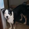 Profile Picture of Mark Steck872 (@marksteck2) on Tiktok