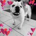 Profile Picture of Jessica Boone (@jessica.boone.5811) on Facebook