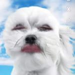 Profile Picture of Brian Bearce (@brian.bearce.9) on Instagram