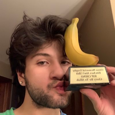 Profile Picture of Lonzo Ball (@freddiebrutto) on Twitter