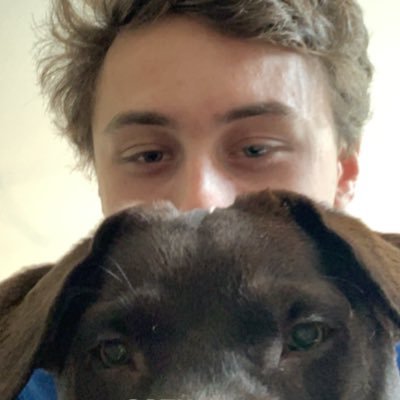 Profile Picture of Leo Kastner (@leokastner) on Twitter