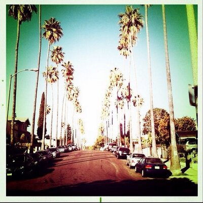 Profile Picture of Drew Fischer (@_drewfischer) on Twitter