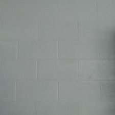 Profile Picture of Dominique Scales (@DominiqueScale7) on Twitter