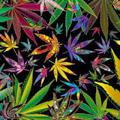 Profile Picture of Kenneth Reid (@kenneyreid21) on Youtube