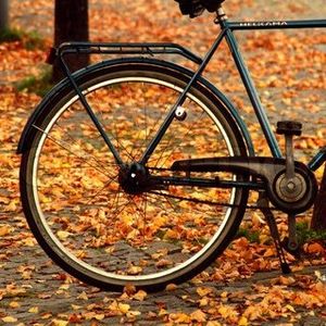 Profile Picture of Hali N A (@halirose90) on Myspace