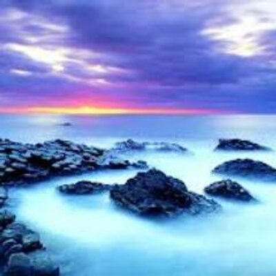 Profile Picture of Ng Ming (@ngming48) on Twitter