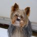 Profile Picture of Françoise Renaud (@francoise.renaud.33) on Facebook