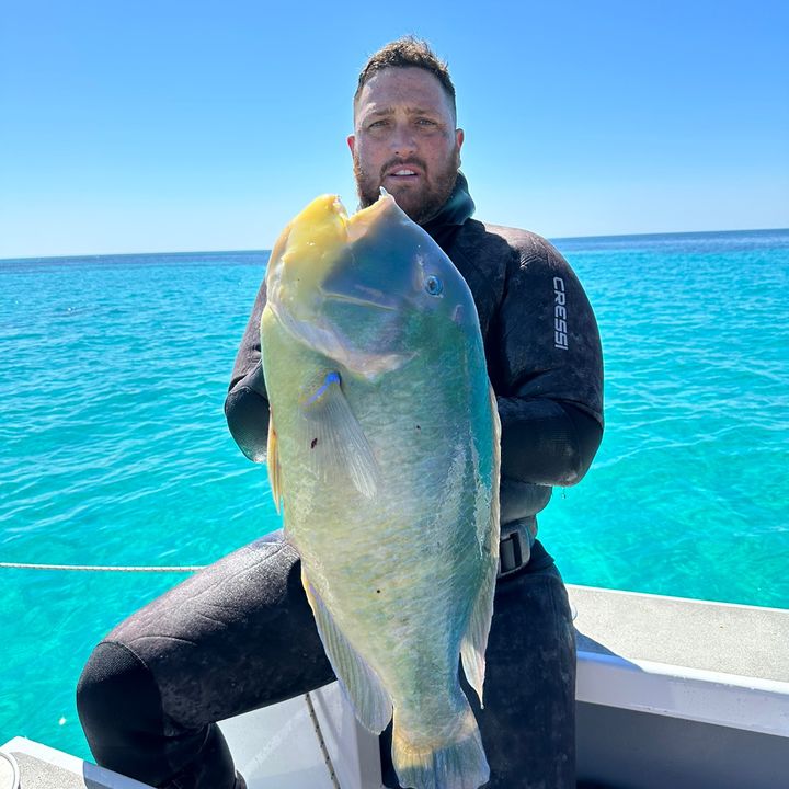 Tommy Diamond - Tiktok Profile Picture of Tommy Diamond (@tommy.diamond2) on Tiktok