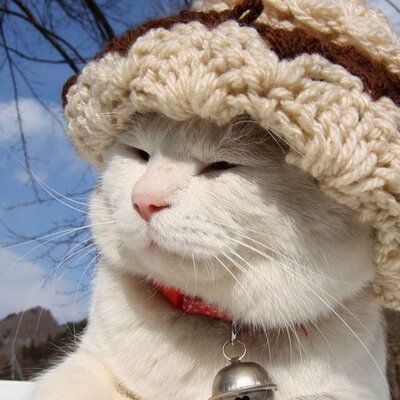 Profile Picture of David Wilby (@Dawilbz) on Twitter