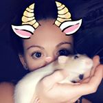 Profile Picture of Krystal (@miguel_and_nugget) on Instagram