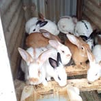 Profile Picture of Aaron Gouveia (@aaron.gouveia.2025) on Facebook